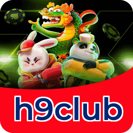 Interface h9club